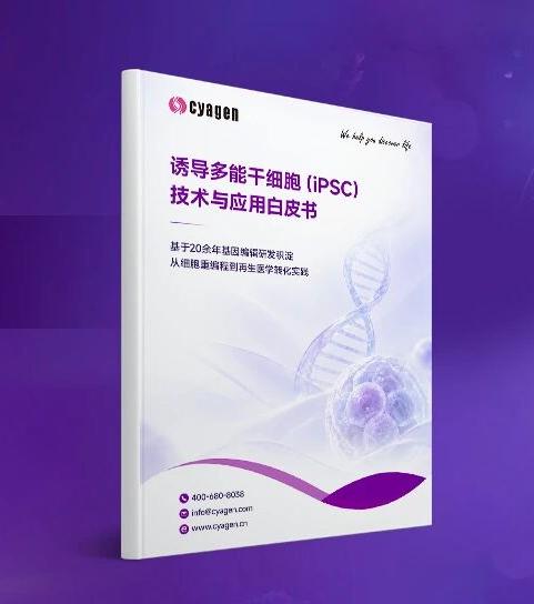 活动图片